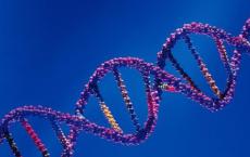 科学家们揭开了DNA甲基化的神秘面纱