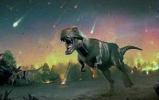 恐龙的崛起与氧气水平的增加有关