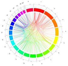 新工具挖掘融合蛋白事实的科学文本