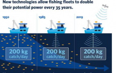 新技术使船队能够将捕捞能力提高一倍并且可以更快地耗尽鱼类资源