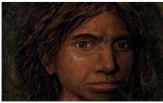首先使用DNA甲基化数据一瞥古代Denisovans的样子