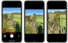如何在苹果iPhone 11 Pro和iPhone 11 Pro Max的纵向模式下切换焦距