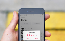 如何在iPhone和iPad上为Apple Music启用星级