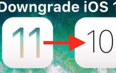 如何在iPhone和iPad上将iOS 11降级到iOS 10.3.3