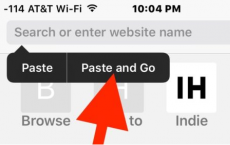 借助Paste and Go在iOS Safari中更快地访问网站URL