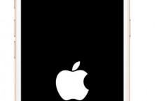 iPhone卡在Apple徽标上了吗 这是4种修复方法