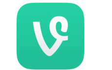 如何从您的Vine存档中下载所有Vine视频