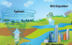 台风和海洋富营养化可能是生态系统中缺少有机氮的来源