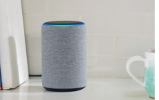 下一个亚马逊Echo可能是高端扬声器 其次是Alexa家用机器人