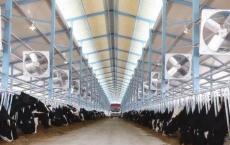 中国最大原奶企业现代牧业 今日发布前三季度业绩