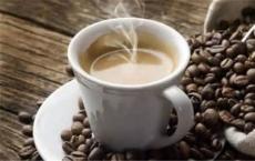 印度咖啡出口下降7％