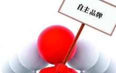 4月我国自主品牌乘用车销量为58.5万辆 同比下滑27.9%