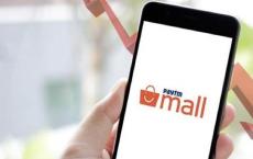 Paytm Mall计划在未来几个月内雇佣300名员工