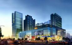 成都富力熊猫城项目开发开发建设的“富力中心”项目未按规定公示项目相关信息