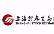上海证券交易所科创板股票异常交易实时监控细则(试行)