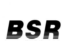 BSR＆Associates辞去IL＆FS投资经理的法定审计师职务