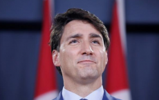 加拿大坚持乳制品保护在北美自由贸易协定与美国总理特鲁多的会谈中
