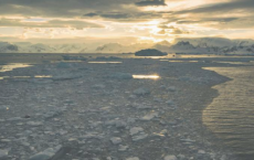研究发现西南极半岛的海洋二氧化碳吸收量大幅增加