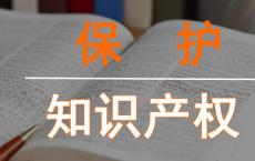 知识产权的丧失意味着受害国家的工作机会减少高薪工作减少