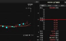 罗森布拉特追踪的19个非展示场馆占5月美国综合股本总额的13％