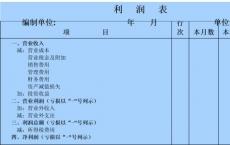 小型企业所有者可能想知道为什么他们的损益表显示出利润