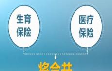 获得最多支持的一揽子选择包括将医疗补助覆盖面扩大到所有怀俄明州人