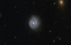 哈勃太空望远镜间谍美丽的螺旋星系