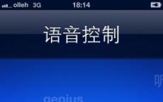教大家在苹果手机iPhone如何调用语音控制的方法