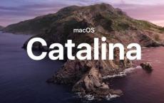 macOS Catalina 10.15.4中的一项新功能使您可以通过头部移动来控制光标
