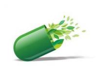纳米胶囊到达已经扩散到小鼠中枢神经系统的癌症