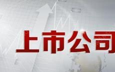 部分上市公司财务信披存在四大突出问题