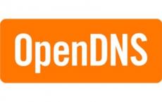 安全公司卡巴斯基和域名服务OpenDNS分析了该恶意软件的运行情况