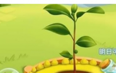 教你拼多多果园怎么删除好友及微信小程序openid怎么获取