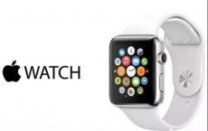 披露一些有关Apple Watch开发的趣闻轶事