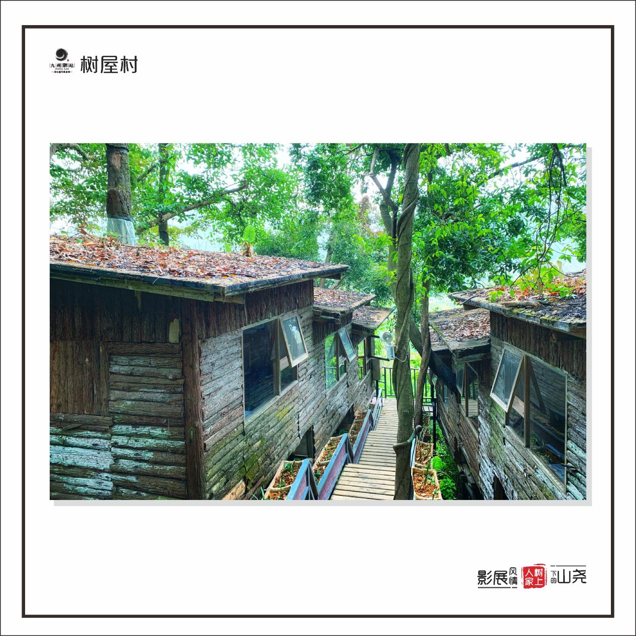 图片6