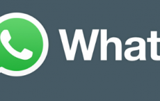 WhatsApp可能会为50人视频通话引入快捷方式