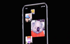 苹果的FaceTime应用程序中发现了一个主要错误