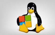 微软竞标对Linux漏洞的幕后访问