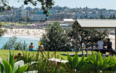悉尼郊区 平均房价上涨但房价下跌