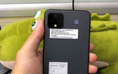 照片中显示未发布灰色选项的谷歌Pixel 4 XL