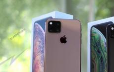 iPhone 11印度预订于9月20日开始 显示Flipkart上市