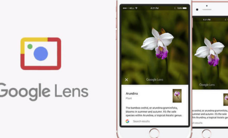 搜索巨头谷歌推出了视觉识别工具Google Lens 
