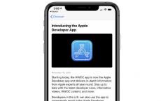 Apple的WWDC App现在已成为Apple Developer App 提供