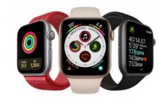 Apple Watch的紧急SOS功能可在海上挽救两艘搁浅的皮艇