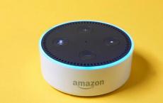 Google和Amazon批准了针对用户的家用扬声器应用程序