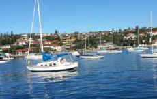 玫瑰湾 是悉尼的独家地带可欣赏海港景观
