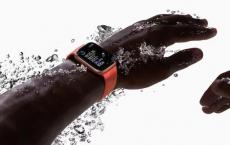郭：Apple Watch Series 6型号具有更快的性能和更高的防水性能
