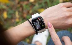 Roku将支持通过语音搜索和远程控制提供给Apple Watch