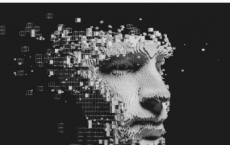 AI开始支持IBM弹性存储和Optane存储系统
