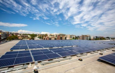 Unico Solar与合作伙伴处理250兆瓦太阳能项目管道 